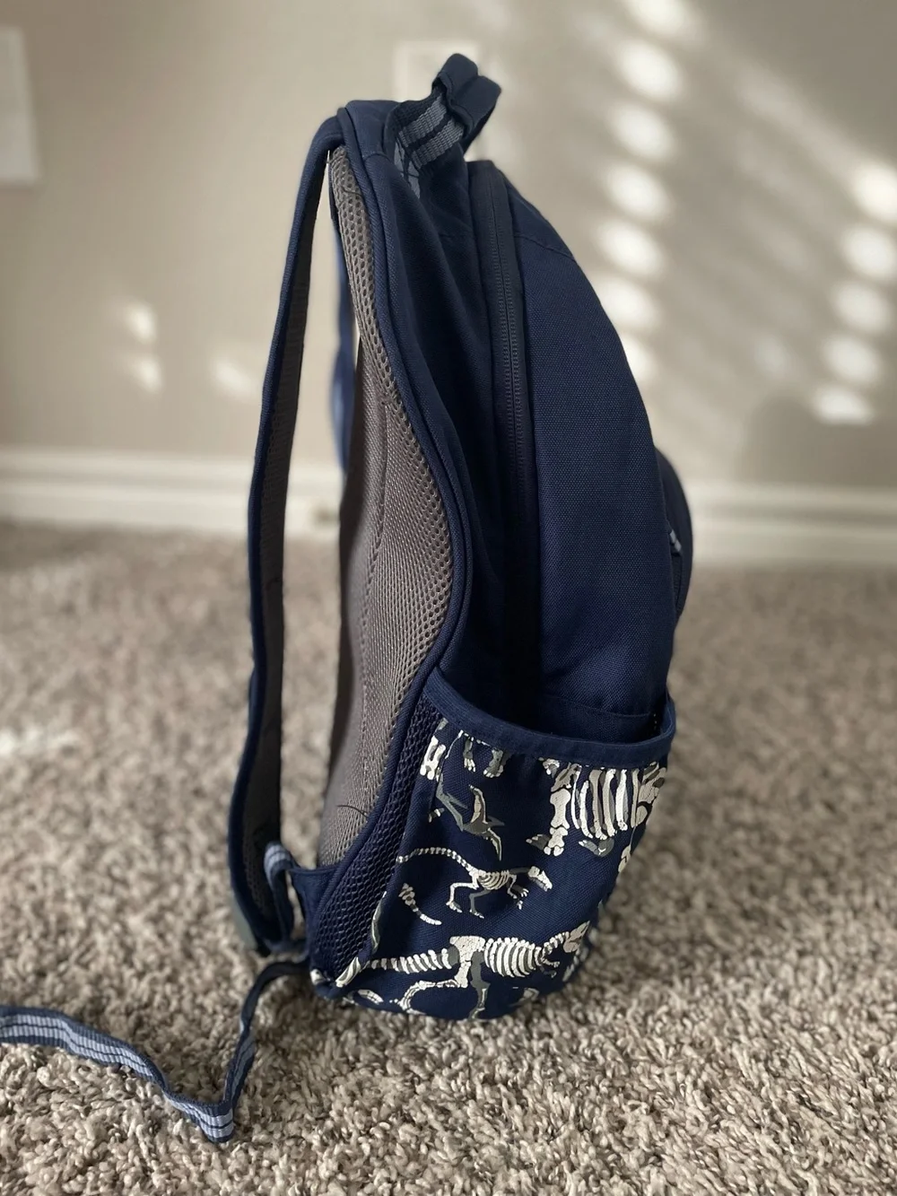 Pottery Barn Kids dino glow
